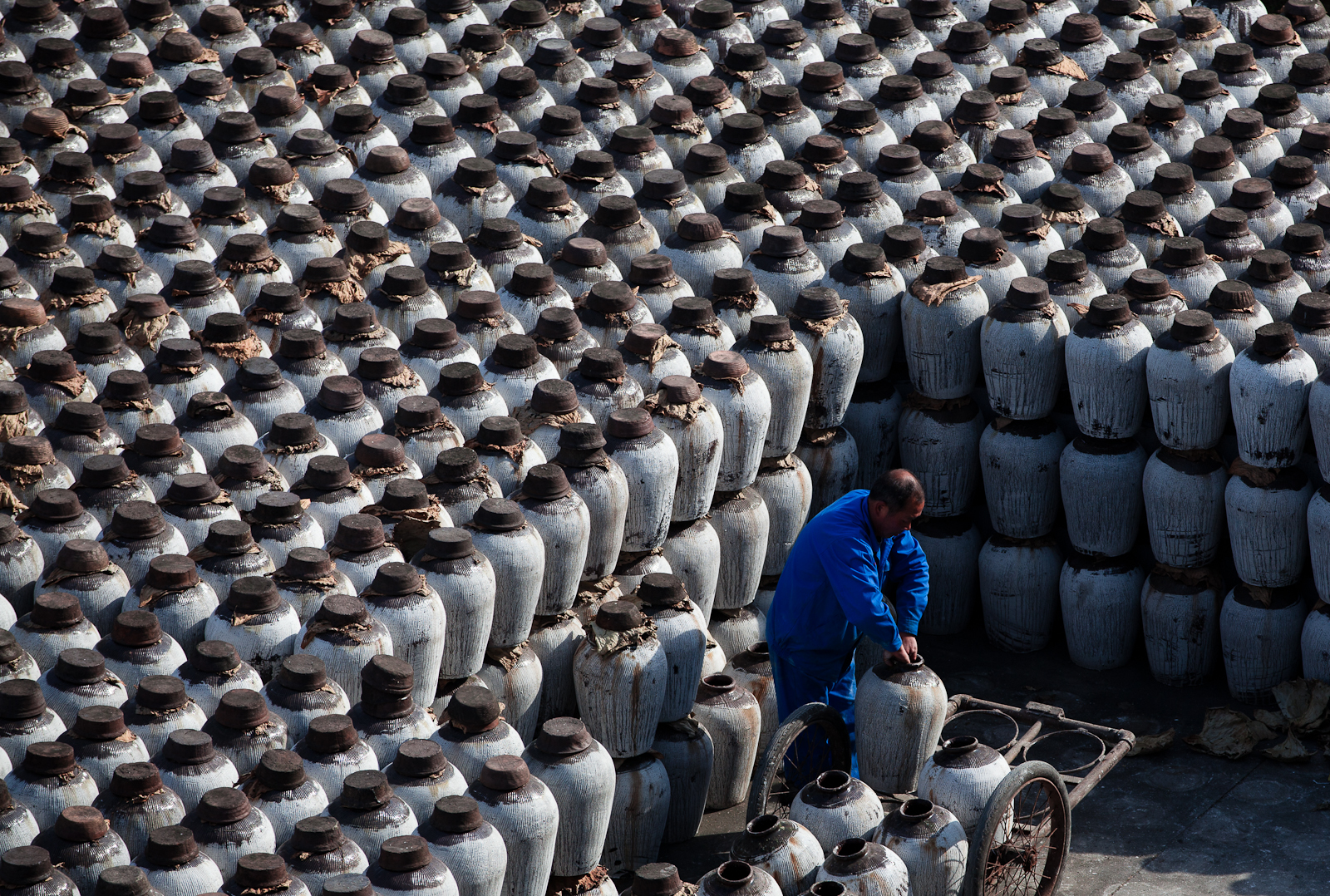 39391bce06f8844f9d34443dea5d52e5